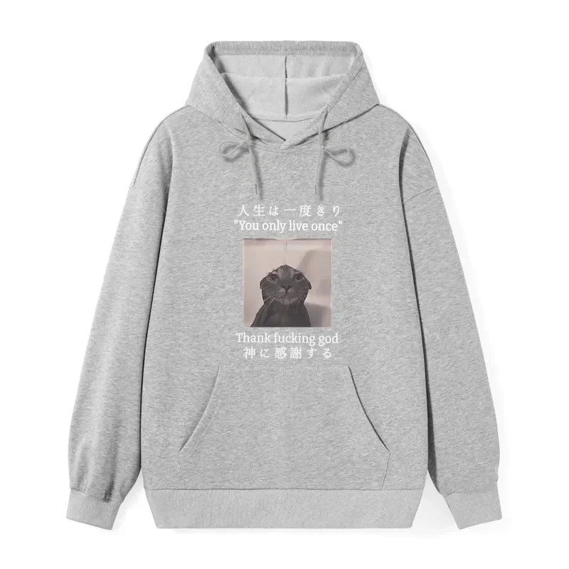 teskony Funny Melancholy Cat Classic Hoodie