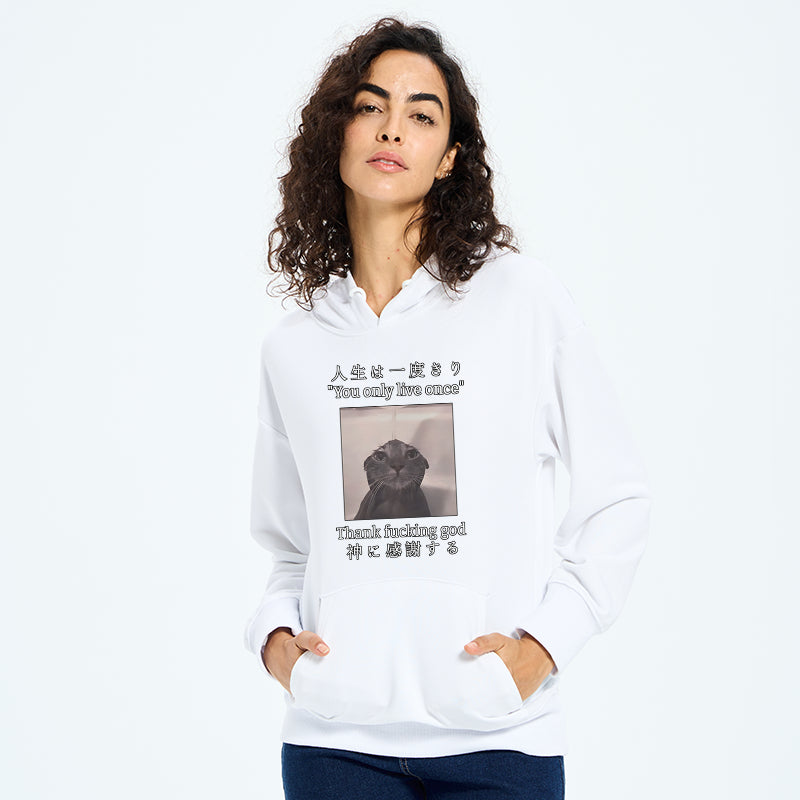 teskony Funny Melancholy Cat Classic Hoodie