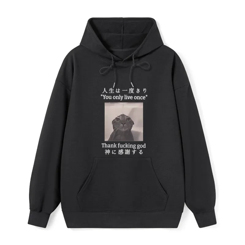 teskony Funny Melancholy Cat Classic Hoodie